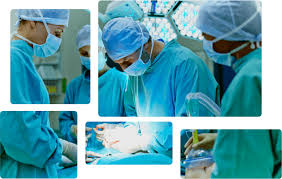 Image result for Hionanthera