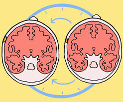 Kemudian balik sekali saja sampai matang seluruhnya. Kenali 5 Tanda Ketumbuhan Otak Yang Paling Kerap Berlaku Benign Meningioma Iluminasi