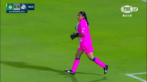 Si alguna de las filiales de fuerzas básicas del club o el club de la liga mx femenil al que apliqué el. Resumen Santos Femenil 0 0 Puebla Femenil Apertura 2019 Jornada 13 Ligabbvamxfemenil Youtube