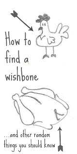 A turkey's wishbone looks like this:tiimage is_image=1 image_id=596340 image_style=375x375 align=leftit doesn't exactly look like any human bone we learned about in biology class—so what the heck is it and what part of the turkey does it come. Thanksgiving Wishbone Luck Quotes Quotesgram