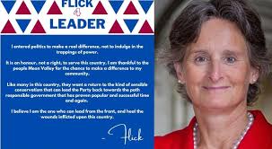 Meon Valley MP Flick Drummond Is not a candidate for Tory leader and Prime  Minister