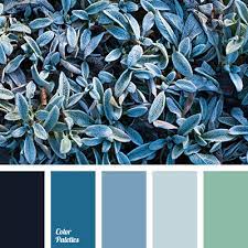 Choosing the perfect color scheme is an important part of any website or app design, so selecting a color scheme is a critical part of any website or project, and to help you discover that perfect color combination we've compiled a list of the best color palette generators and web tools out there today. Calm Blue Color Color Palette Ideas