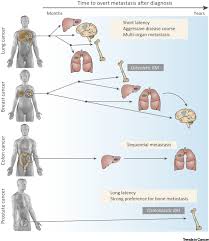 Being armed with information is vital to begin the fight. Surviving At A Distance Organ Specific Metastasis Trends In Cancer