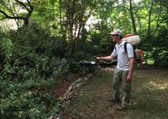 Luckily, the experts that we have partnered with here at top nc pest. Ecotek Termite And Pest Control 1502 N Duke St Durham Nc 27701 Yp Com