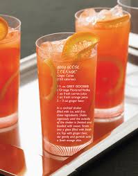 Grey Goose L Orange Flavored Vodka Skinny Drink Low Calorie Mixer In The Mix Magazine