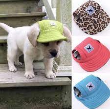 Natural Dog Treats Recipe Ideas Pinterest Best Roundup Dog Items Dog Supplies Summer Dog