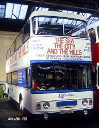 Tour Bus Bus Bus Coach Public Transport
