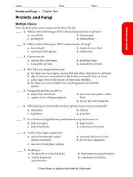 Autotrophs Vs Heterotrophs Worksheet Answers Protist Worksheet Algae 2020