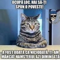 Imagini Funny