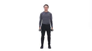 The hammer curl is a great exercise for the biceps and forearms. Alternate Hammer Curl Exercise Videos Guides Bodybuilding Com