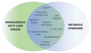 Image result for Roman Green 1929 Nash