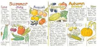 Uk Seasonal Fruit And Vegetable Chart Vegetable Chart