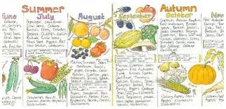 uk seasonal fruit and vegetable chart vegetable chart