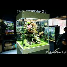 Epingle Par Vivarian Oh Sur Vivarium