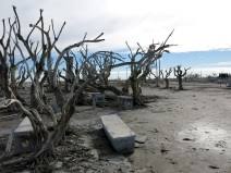Buď informovaný hneď ako sa objaví článok s týmto klúčovým slovom. Epecuen Geflutete Geisterstadt Weitweitweg In