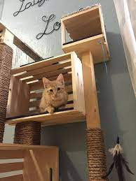 9 Ok Amiert Szebb Az Elet Haziallattal Cat Condo Cat Room Cat House Diy