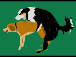 Download, nonton, dan streaming anime sub indo resolusi 240p, 360p, 480p, & 720p format mp4 serta mkv lengkap beserta batch. Dog Penis Twisted See What Will Happen Youtube