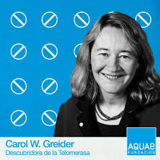 La telomerasa, el descubrimiento de Carol W. Greider