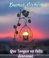 Buenas Noches De Dios En 2021 Buenas Noches Frases Frases De Buenas Noches Para Amigos Mejores Frases De Buenas Noches