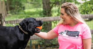 Insurance isn't the only type of protection pet sitters may want to acquire. Sarah S Pet Sitting And Dog Walking Cheshire Southington