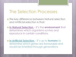 Natural selection gizmo worksheet answers + mvphip answer key from www.coursehero.com. Unit 3 Evolution Chapters 7 8 9 Ppt Download