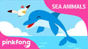 Click Click Dolphin Sea Animals Song Dolphin Song Pinkfong Songs For Children Youtube Kids Songs Preschool Songs Songs