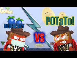 In this video i'll show you how to make blueberry crepes from the new cooking update! Growtopia Blueberry Vs Potato Growtopia Forums