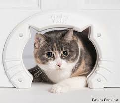 Cat Doors For Interior Doors For Medium Large Cats Hole Pass Fits Hollow Core Or Solid Doors Kitty Door Shaped Interior Cat Doo Cat Door Pet Door Cat Box