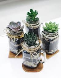 1001 Modeles De Terrarium Plante En Bocal Ferme Ou Ouvert Jardin Bocal Succulentes Suspendu Pots Succulentes