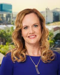 Nikki Amberg, Councilmember