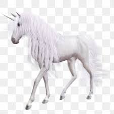 Find & download free graphic resources for png. Horse Unicorn Png 1600x1600px Horse Fictional Character Horse Like Mammal Mane Mustang Horse Download Free