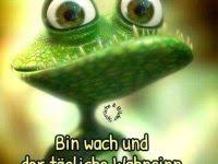 Guten Morgen Spruch Kindergarten Bilder Und Sprüche Für Whatsapp