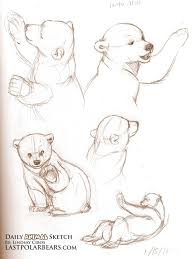 Pin By Irina Pleskacevich On Inked Bear Art Animal Sketches Sketches