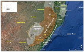 Image result for Stenostelma capense