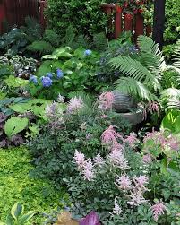 A Lush Private Shade Garden In Hamilton Ontario Gardening Flowersofinstagram Shade Flower Threedogsinagar Shade Garden Plants Shade Garden Shade Plants