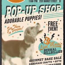Maybe you would like to learn more about one of these? Home Rocket Dog Rescue