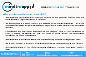 What Are Assumptions And Constraints Business Analysis Business Analyst Beliefs