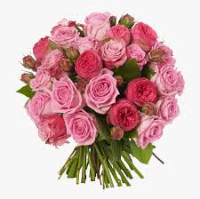 Find the perfect rose picture from over 40,000 of the best rose images. 2dozen Assorted Roses Bouquet Rose Flower Free Download Hd Png Download Kindpng