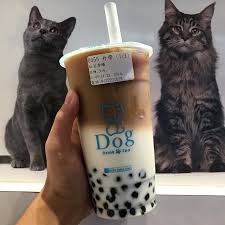pin by zara nd on boba bubble milk tea bubble tea boba tea