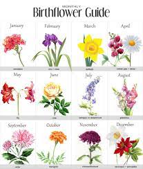 In a educational sense, flower characteristics such as appearance, color, and scent, have relevance as gifts, just like birth stones. A Guide To Birth Month Flowers Boxwood Drive Tipsheet Birth Flowers Birth Month Flowers Birth Flower Tattoos
