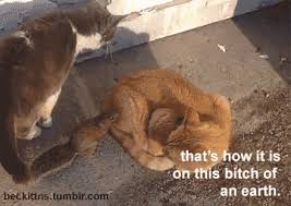 How dare you still live? You Re On Earth There S No Cure For That That S How It Is On This Bitch Of An Earth