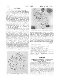 Image result for Mohria