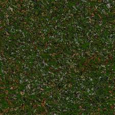 Check spelling or type a new query. Forest Meadow Grass 1 0 Texture