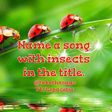 Insect names names that mean firefly, lightning bug, grasshopper, locust, spider, bumble bee, honey bee, yellow jacket, etc. Name A Song With Insects In The Title Song Challenge Songs Names