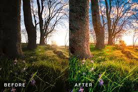 Image result for lightroom professional