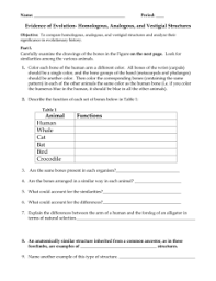 Momentum and collisions worksheet answers physics classroom from evidence of evolution worksheet answers , source:therlsh.net. Evidence Of Evolution Science With Ms Tantri