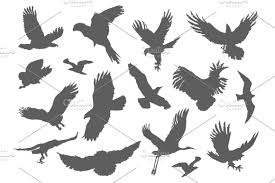 Bird Silhouette Illustration Set Silhouette Illustration Bird Silhouette Illustration
