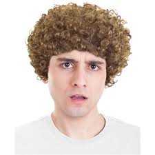 Amazon.com: 70s Brown Afro Disco Wig Costume Brothers Dustin Seth Wig  Costume Accessory