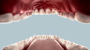 This shot is traditionally used in films and focuses on a small part of the actor's face or body, like a iconic example: Covid 19 Infects The Mouth Could That Explain Patients Taste Loss Live Science