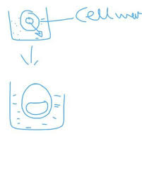 We did not find results for: Explain Plasmolysis In A Plant Cell Draw A Diagram Showing Stages In Plasmolysis Brainly In